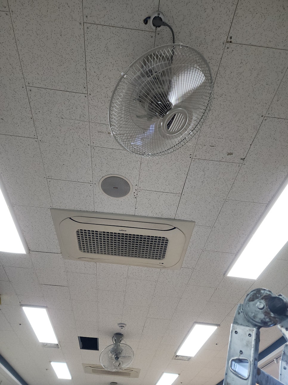 천장에 고정된 선풍기 본체와 연결선