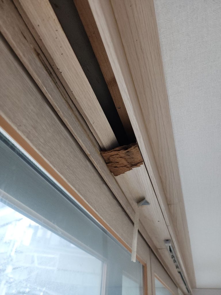 성동구 천장 몰딩 부분 교체 떨어진 몰딩 보수